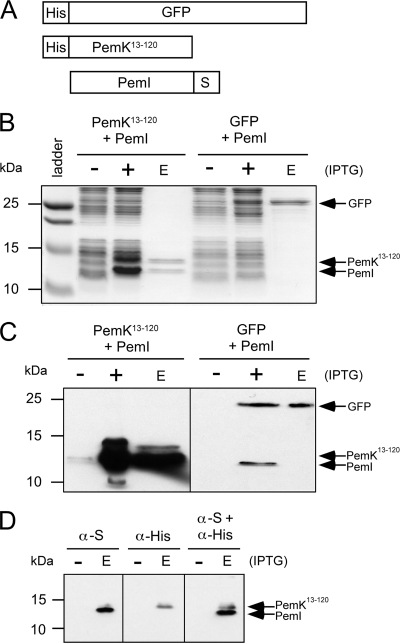 FIG. 6.