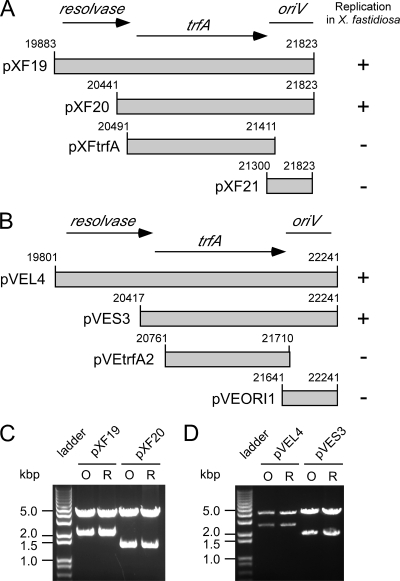 FIG. 1.