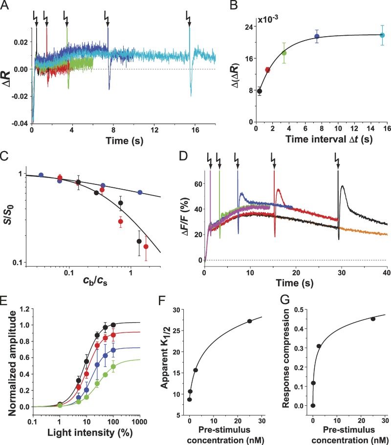 Figure 7.