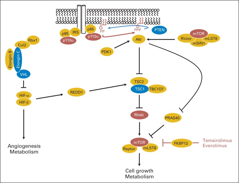 Fig 1.