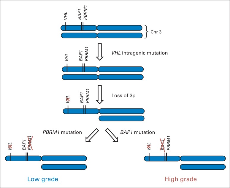 Fig 3.