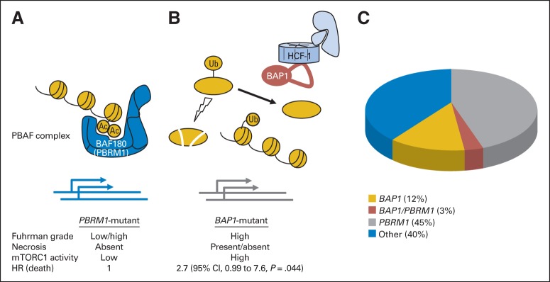 Fig 2.