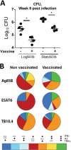 FIG 5