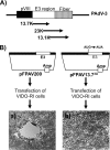 FIG 3