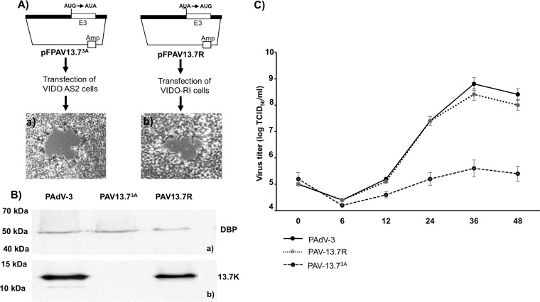 FIG 5