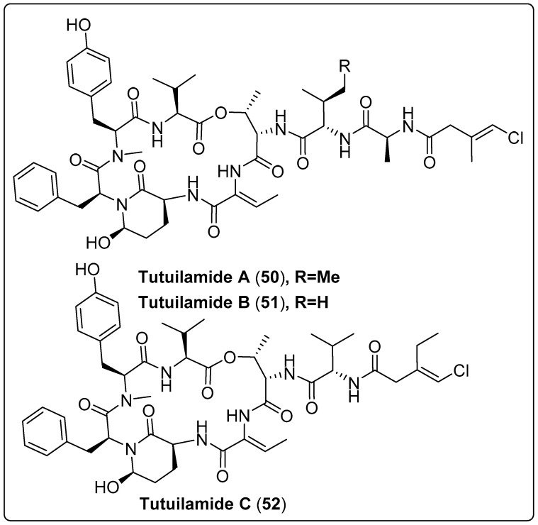 Scheme 3
