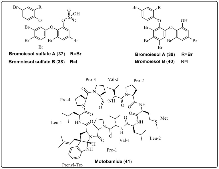 Scheme 2
