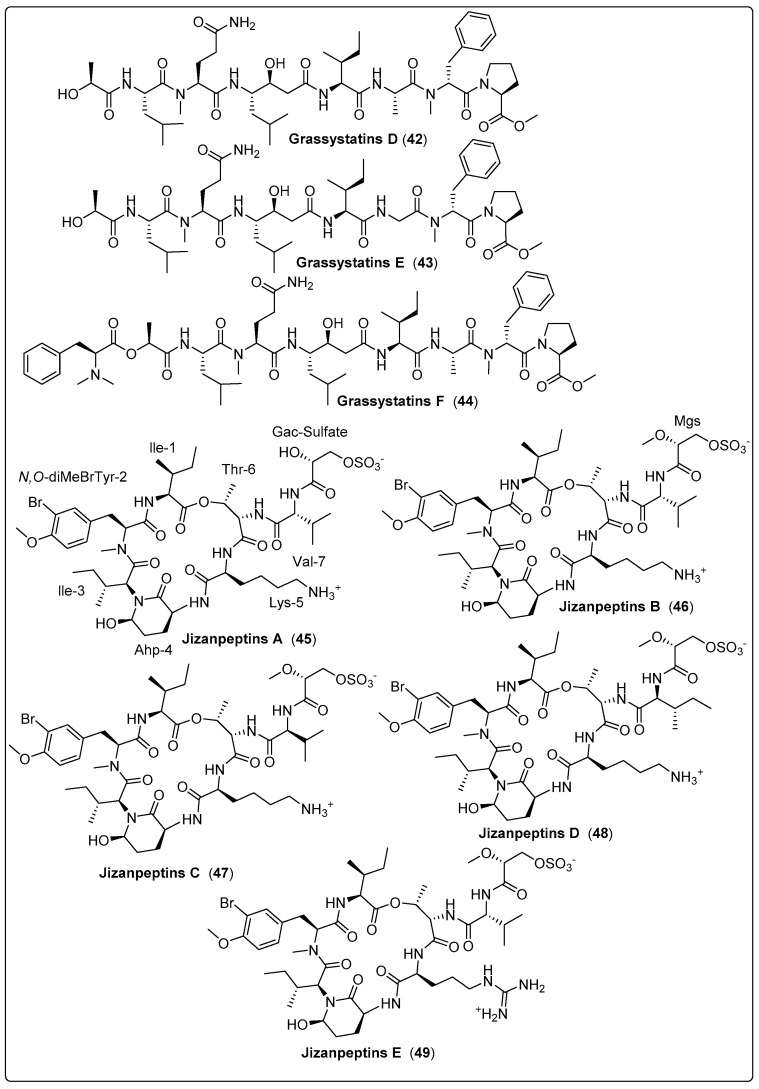 Scheme 3