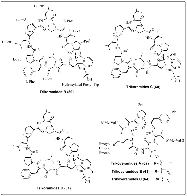 Scheme 5