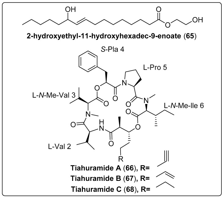 Scheme 6