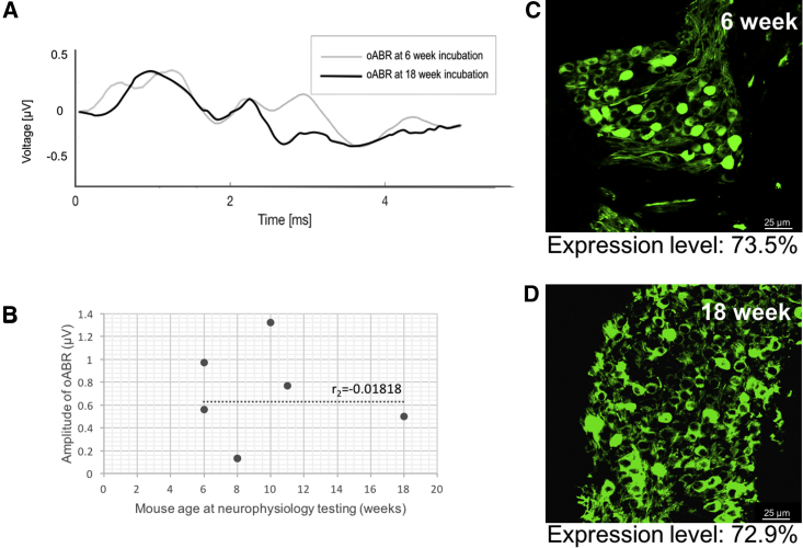 Figure 6