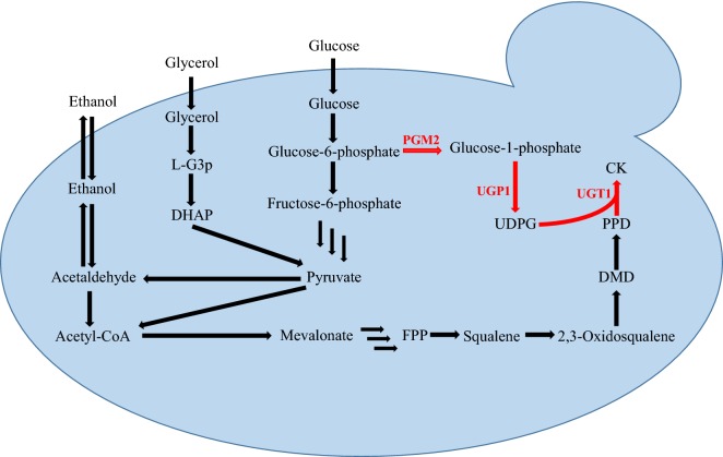 Fig. 1