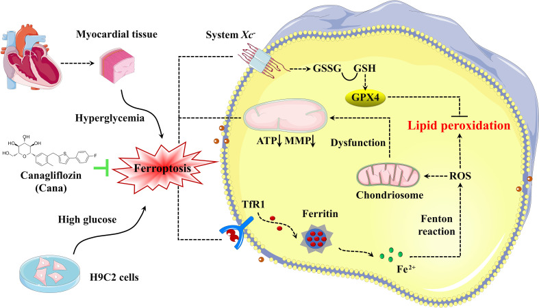 Figure 6