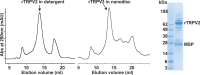 Figure 3—figure supplement 1.