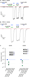 Figure 6—figure supplement 3.