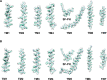 Figure 3—figure supplement 4.