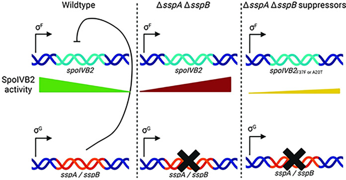 Figure 9.