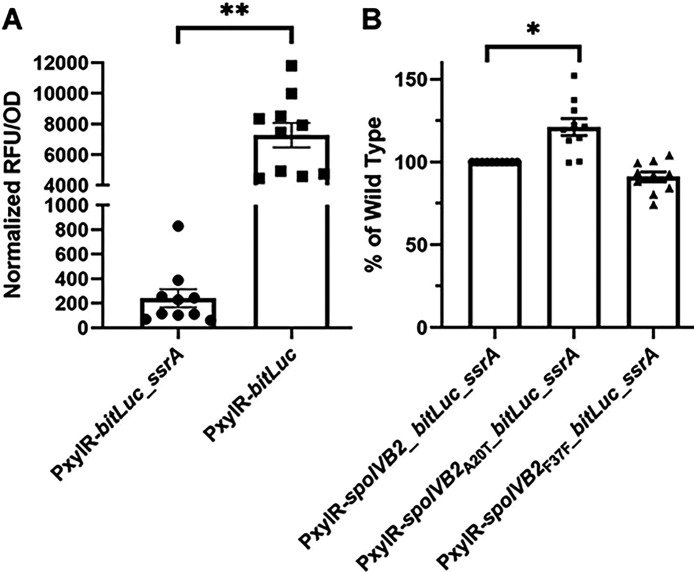 Figure 7.