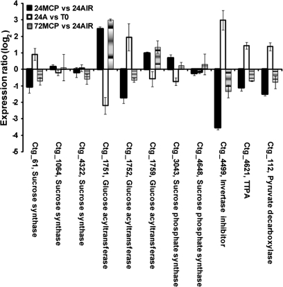 Fig. 6.