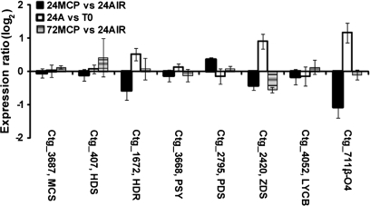 Fig. 8.