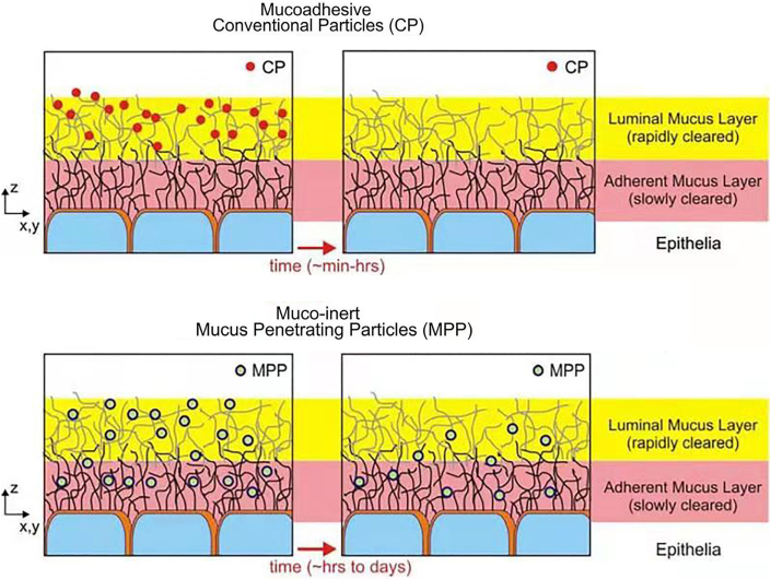 Figure 4