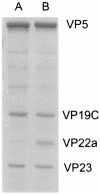 FIG. 5.