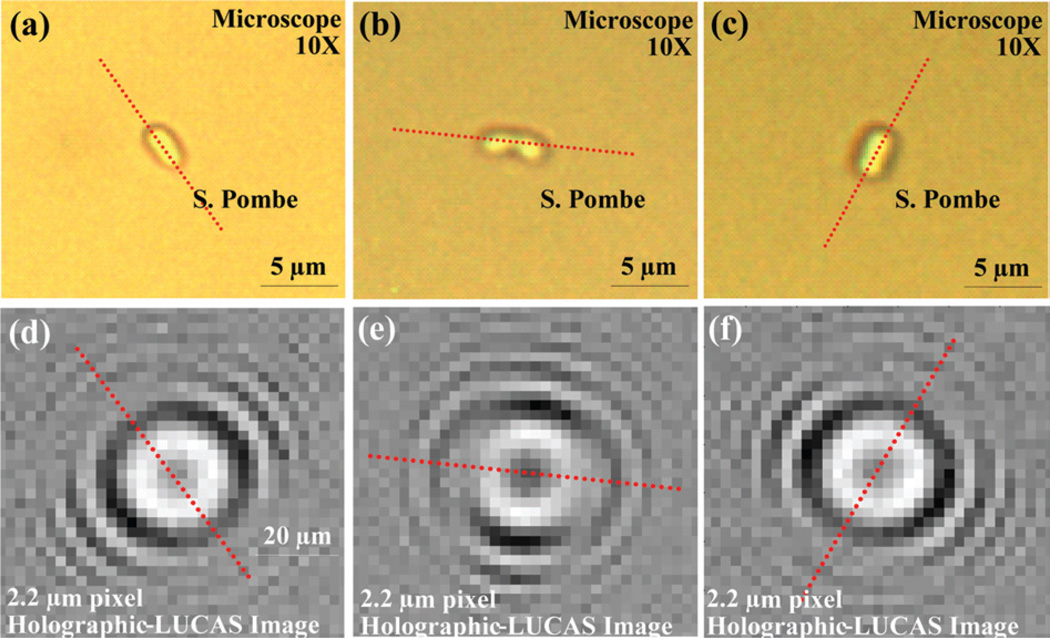 Fig. 3