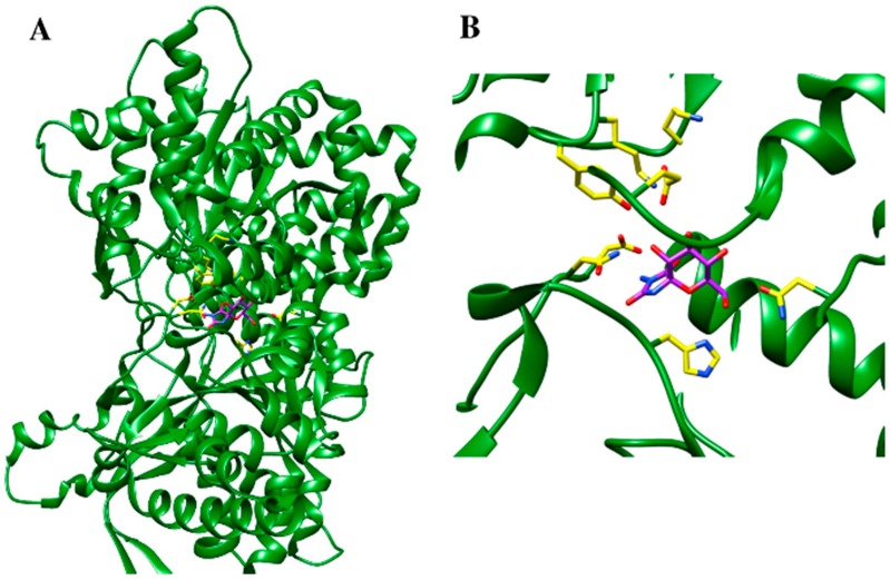 Figure 5