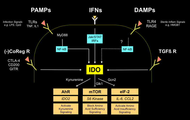 Fig. 3