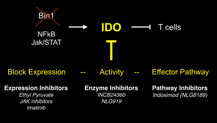 Fig. 4