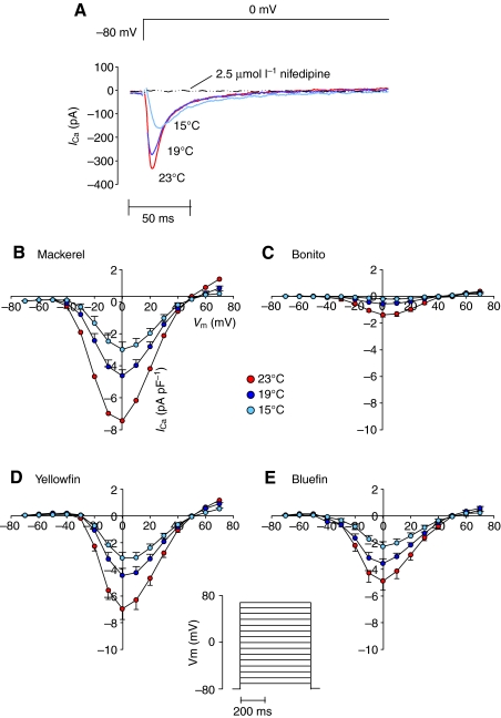 Fig. 1.