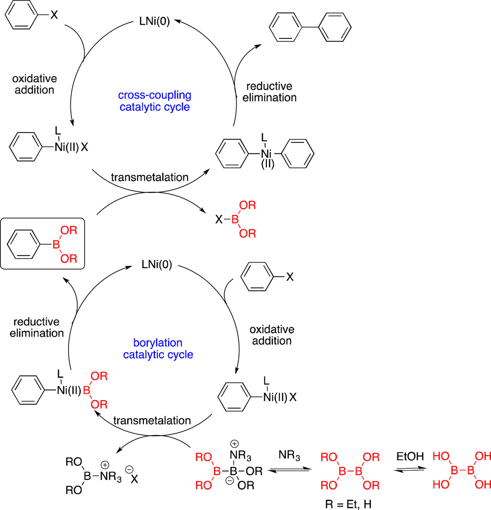 Scheme 3