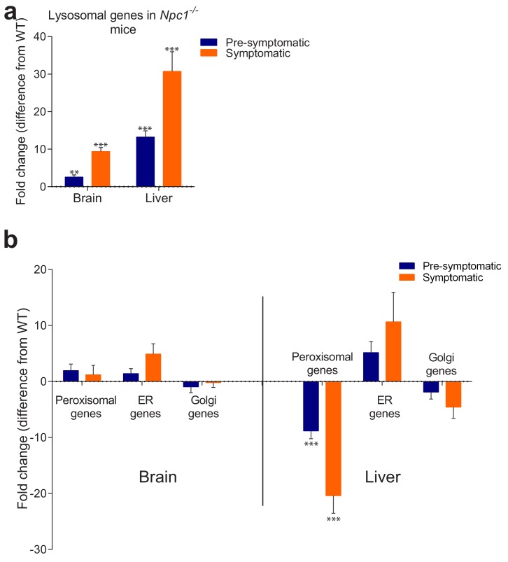 Figure 1—figure supplement 2.