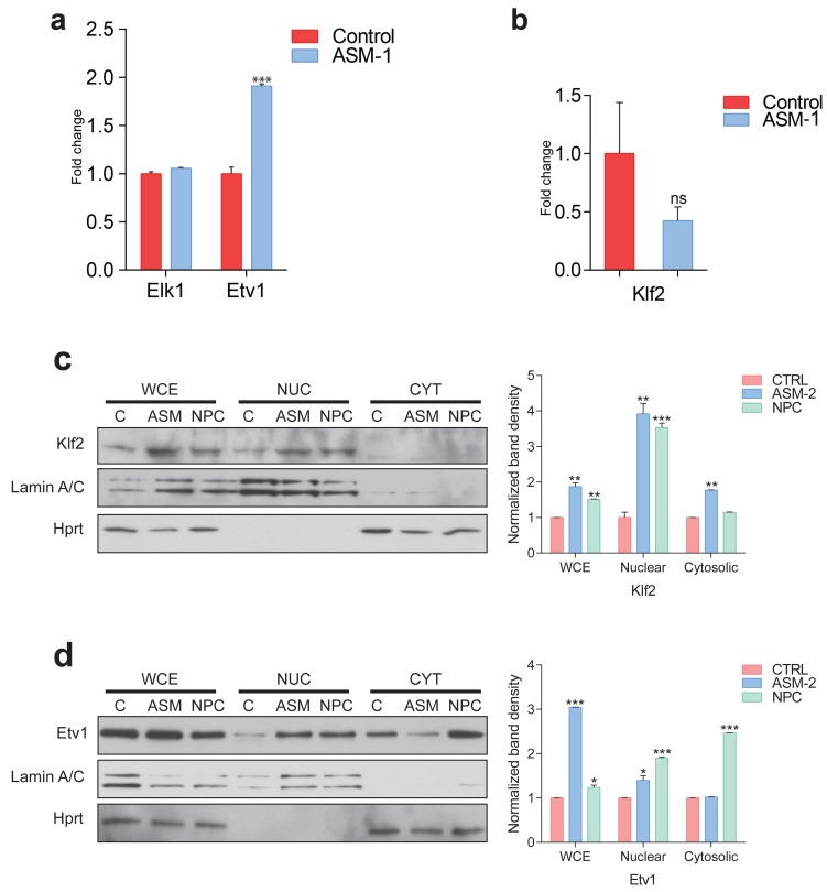 Figure 4—figure supplement 1.