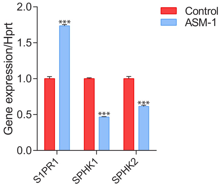 Figure 7—figure supplement 1.