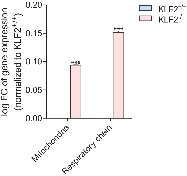 Figure 4—figure supplement 3.