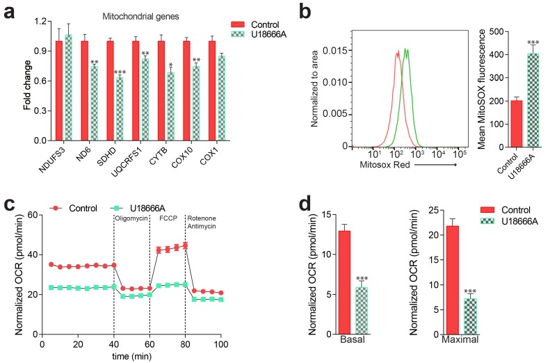 Figure 3—figure supplement 4.