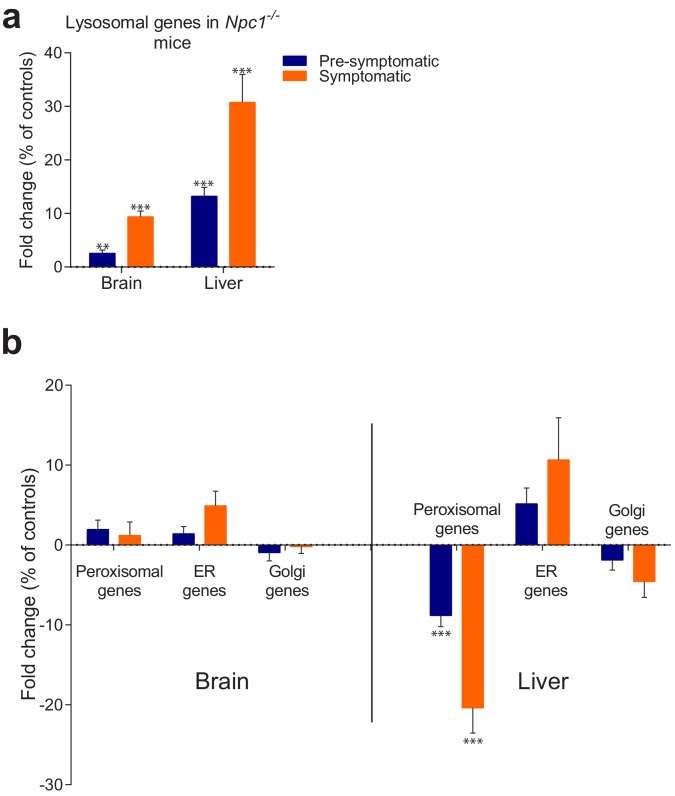 Figure 1—figure supplement 1.