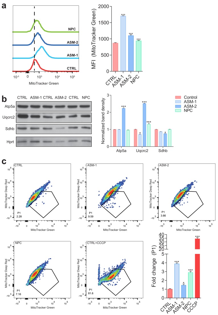 Figure 3—figure supplement 2.