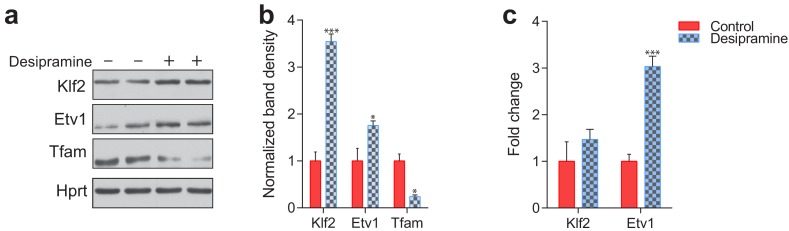 Figure 4—figure supplement 2.