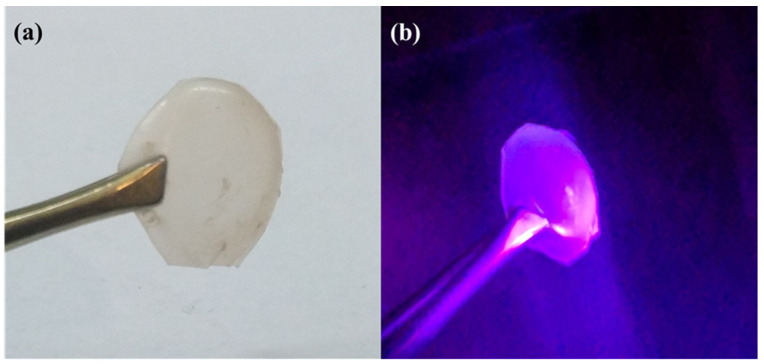 Figure 10