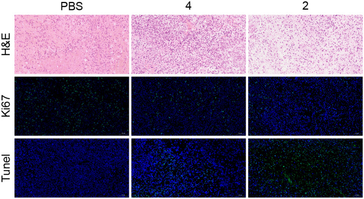 Fig. 6.