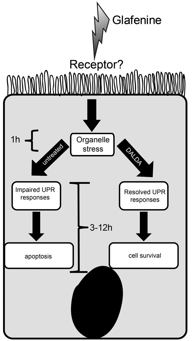 Fig. 10.