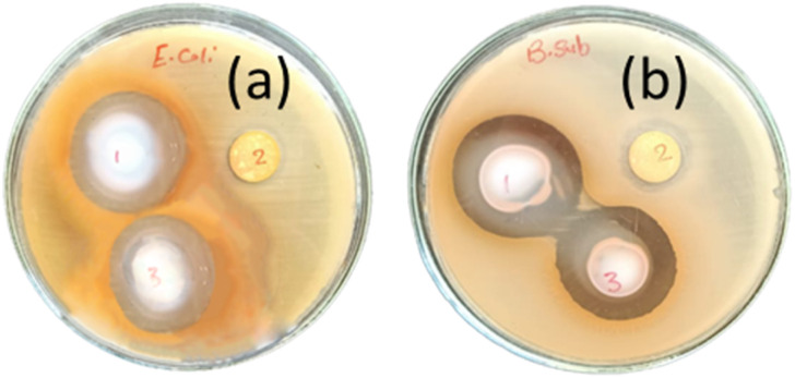 Fig. 8