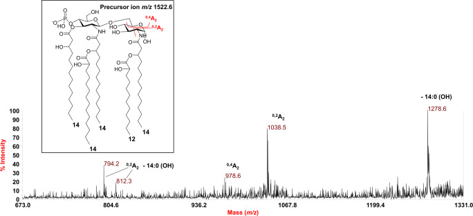 Fig. 3