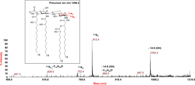 Fig. 2