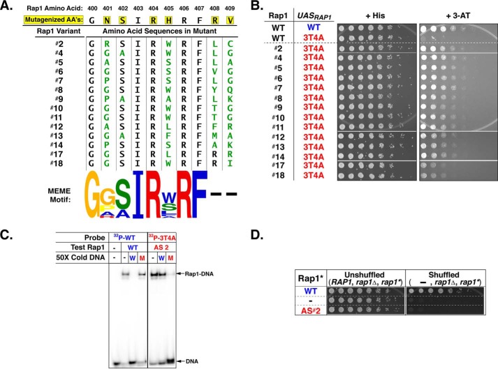 Figure 3.