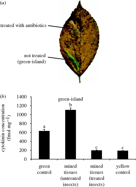 Figure 2.