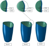 Fig. 2