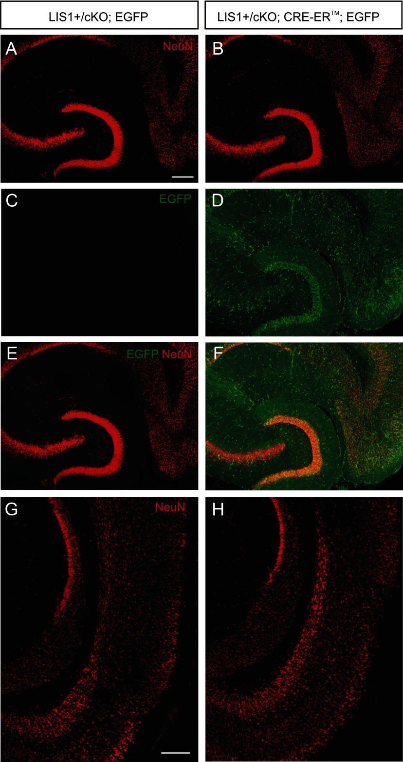 Figure 9.